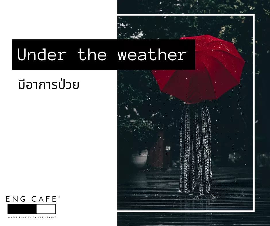 TwitEngCafe's tweet photo. สำนวนที่ 3 ที่อยากจะฝากให้ทุกคนในวันนี้ คือ
Under the weather = ป่วย 🤧
📌ยกตัวอย่างประโยคเช่น
I feel under the weather. I will go home now.
ฉันรู้สึกปวย เดี๋ยวจะกลับบ้านแล้ว 😷
#EngCafe #ครูพี่สอ #TCAS63 #Dek63 https://t.co/85U4EOLcKh