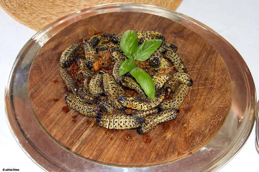 geocappiello's tweet photo. #10July #July10 #10Luglio #7月8日

Gonimbrasia belina (Westwood, 1849)

Its caterpillar (#Mopane #Madora #Mashonja #Macimbi #Omagungu #Mingolo) contains 3 times as much protein as beef

©️ 1) via laine-dirk 2) T. Mukwazhi, 3) A. Binns 4) via wiki

#worms #wormwednesday #cooking https://t.co/QdeZ69JWaY