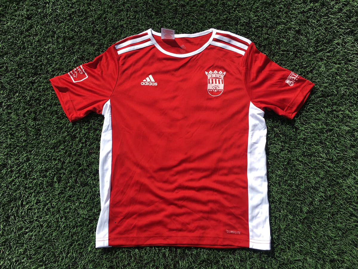 UDAldaiaCFfbase tweet media