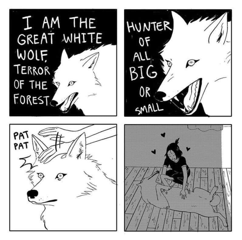 This is 100% an accurate portrayal of my dog 😂 #WhiteGermanShepherd #WhiteGSD