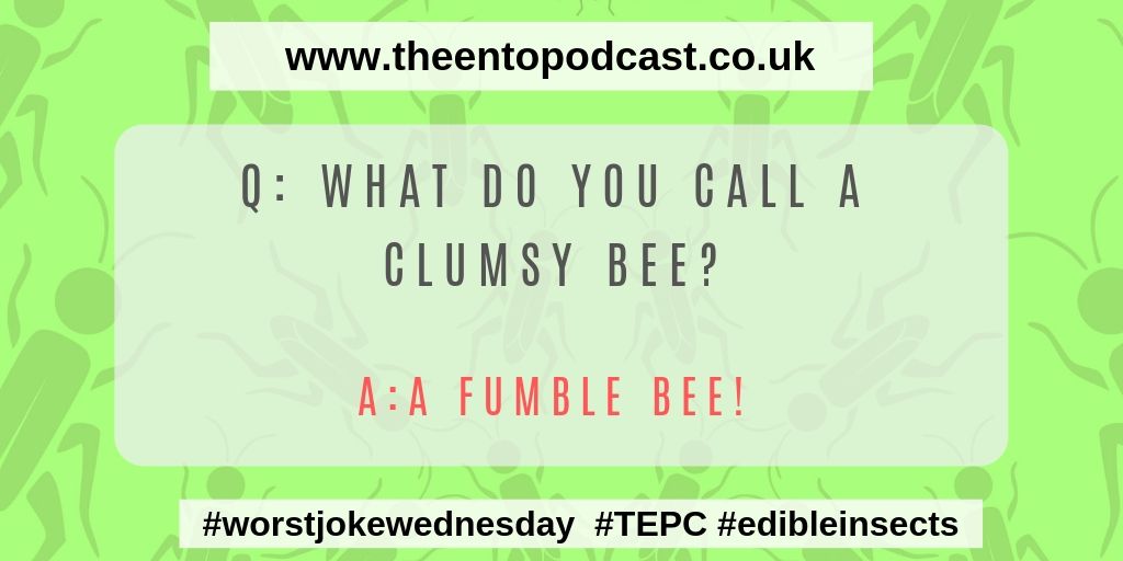 Happy Hump day enjoy our #worstjokewednesday, #ent