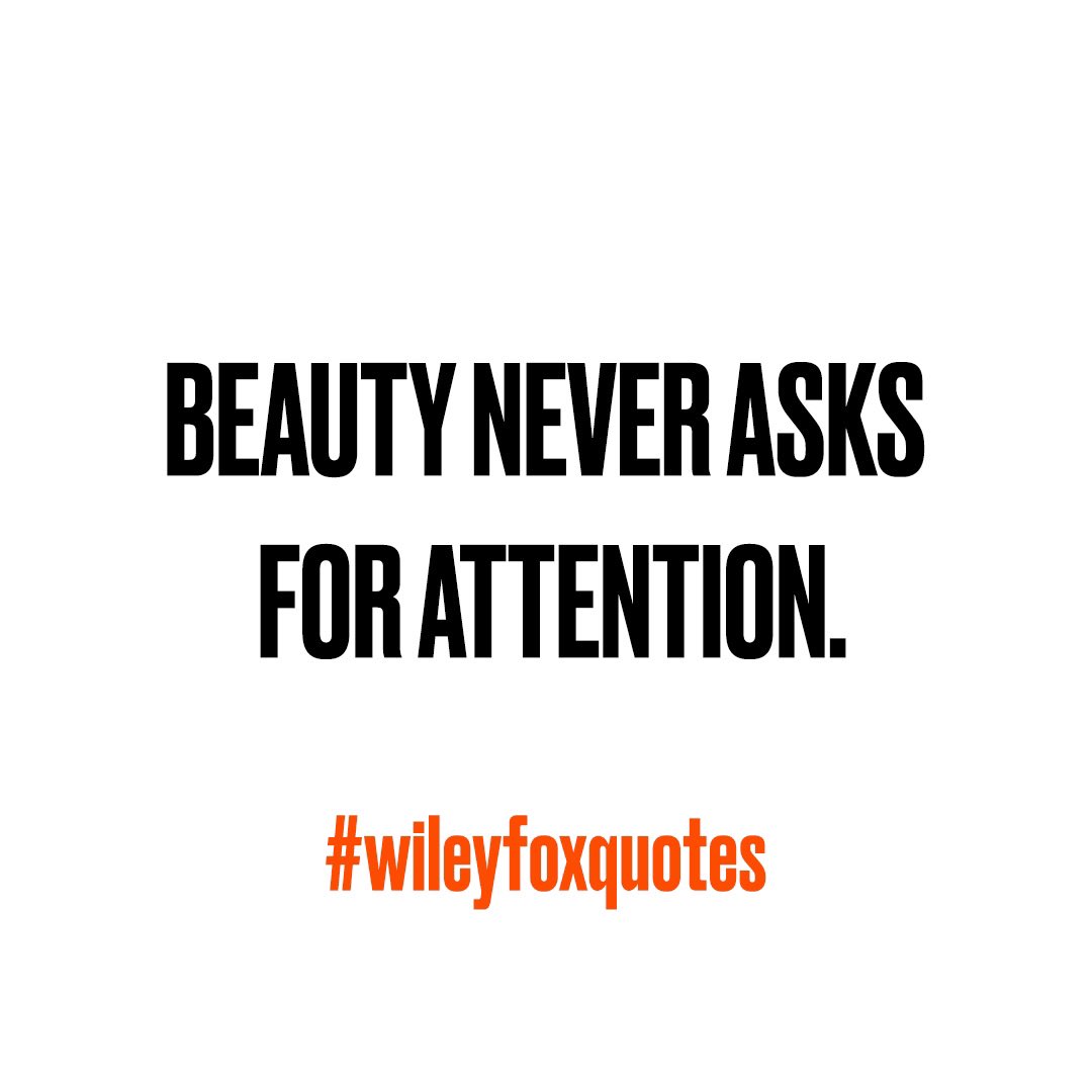 Wileyfox tweet media