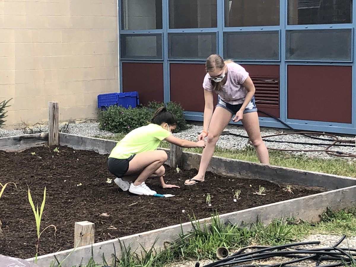 jpmBKP's tweet photo. So great to see students, staff, and parents across grade levels come together to build the #Miscoe school garden as part of the #InspiredLearningProject. Here’s to a healthy harvest 🍅🥬 🌽 and meaningful learning! #MURSDInspires https://t.co/Rh7koE1mZK
