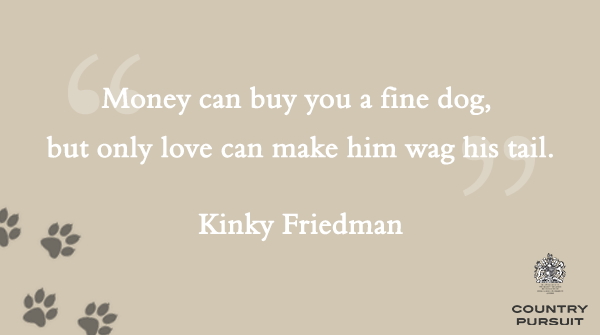 CPPetfood's tweet photo. We love this quote and wanted to share it with you! 🐶
Who agrees with us?😍
#quoteoftheday #finedog #dogsoftwitter #dogs #happydogs #tuesdaythoughts #countrypursuit #FriendsofCP https://t.co/Fl1g7tUE9g