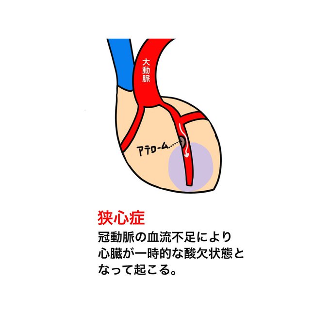 ゴロ 解剖生理イラストさん の人気ツイート 6 Whotwi グラフィカルtwitter分析