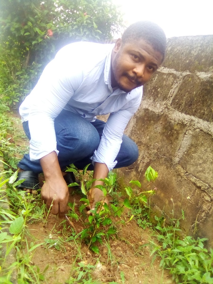 Let's plant trees because they have lots of benefits, some which are medicinal and primarily as a source of Carbon Sink. Plant a tree and save the world. #treeplanting #treeplantingweek #treeplantingseries #futuresavers #Atreeaweek