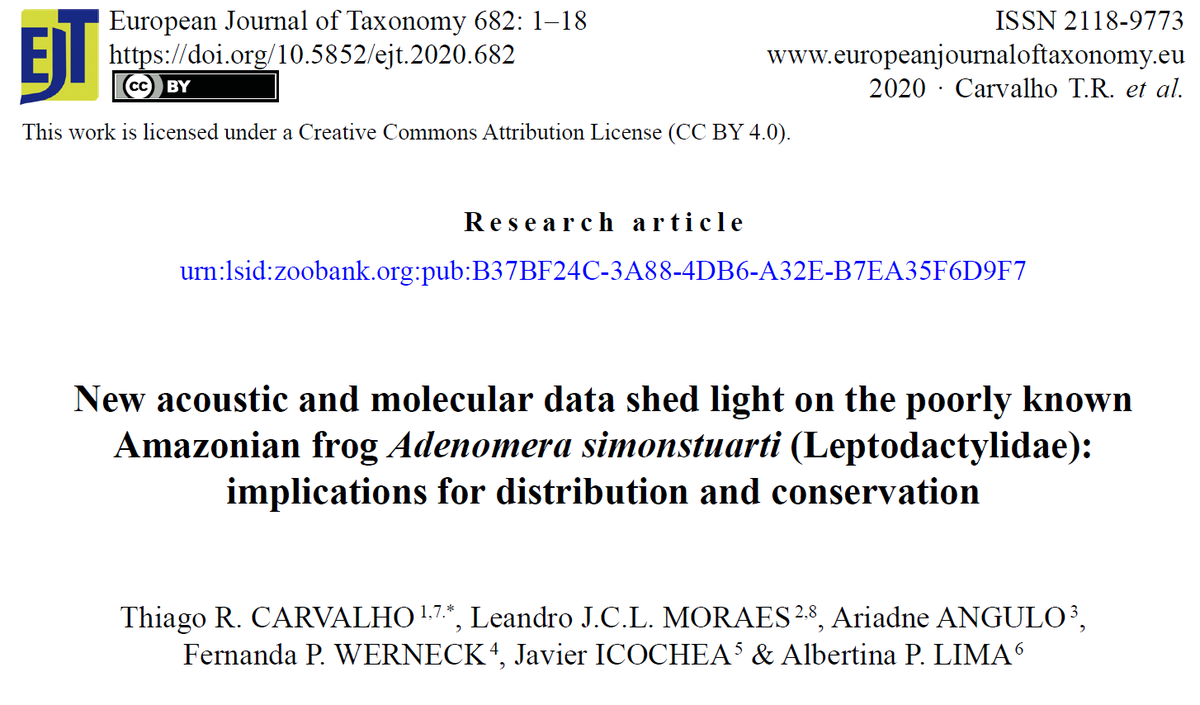trcarvalho_herp's tweet photo. Our new study (@ljclmoraes, @fpwerneck on Twitter) on Adenomera simonstuarti revealed eight geographically structured lineages as putative new species distributed in lowland forests of the Amazon Basin and Venezuelan and Peruvian Andes montane forests.
@RevaFrog @AmphSpecWorld https://t.co/7bNnDa4xFT