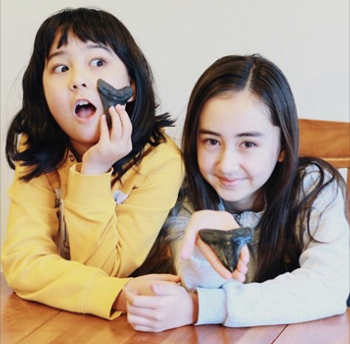 theMeg_theLoch's tweet photo. We sent these to Sophia (Meying in the Meg) and her sister Elena (another outstanding little actress) on Apr 26. They just got there yesterday. . I think they like them π @SNE_ASKIN
#Meying #SophiaCai #theMeg #Megteeth https://t.co/dKQfWdr7la