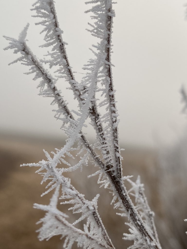 hernandezdg's tweet photo. Que friiiiiooo!! https://t.co/0VKdGxNdoA