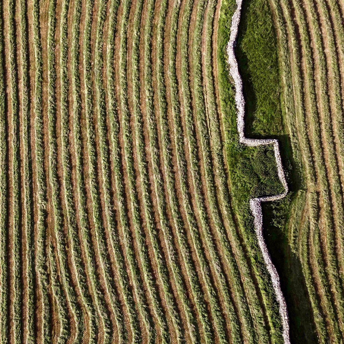 Scenicview Gallery 📸 #photographer tweet media