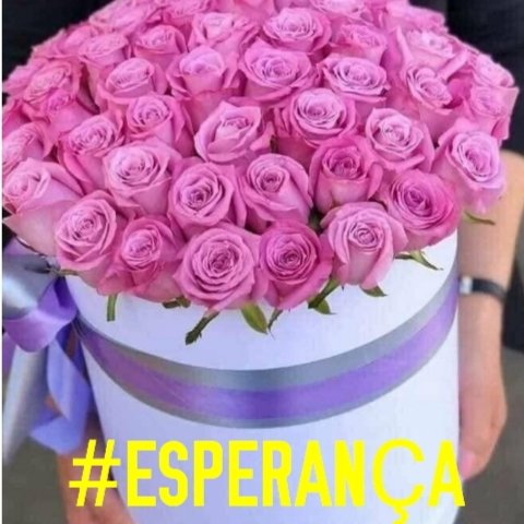 RosaMar14112784's tweet photo. #DignidadeDeFilhosDeDeus #AtraídosPorDeus #semente #CorramosParaEle #BomPerfume #Soberania #girassóis #InteragirComEle #DiálogoComEle @Rozane_Costa
"Ouve, Israel, o Senhor nosso Deus é o único Senhor*" Dt6:4; Jo6:44 @Jssica55272746 @Paulo97813048 #BÍBLIA https://t.co/2NEVoubhA8