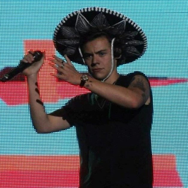 :･ﾟ✵  :･ﾟ✧ :･ﾟ✵ *:･ﾟ✧:･ﾟ✵ :･ﾟ✧:･ﾟ↠harry styles as ratitas a thread↞:･ﾟ✵ :･ﾟ✧ :･ﾟ✵ *:･ﾟ✧:･ﾟ✵ :･ﾟ✧:･ﾟ