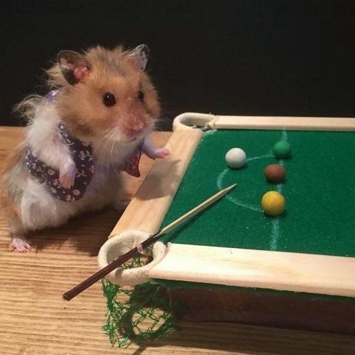 :･ﾟ✵  :･ﾟ✧ :･ﾟ✵ *:･ﾟ✧:･ﾟ✵ :･ﾟ✧:･ﾟ↠harry styles as ratitas a thread↞:･ﾟ✵ :･ﾟ✧ :･ﾟ✵ *:･ﾟ✧:･ﾟ✵ :･ﾟ✧:･ﾟ