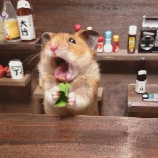 :･ﾟ✵  :･ﾟ✧ :･ﾟ✵ *:･ﾟ✧:･ﾟ✵ :･ﾟ✧:･ﾟ↠harry styles as ratitas a thread↞:･ﾟ✵ :･ﾟ✧ :･ﾟ✵ *:･ﾟ✧:･ﾟ✵ :･ﾟ✧:･ﾟ