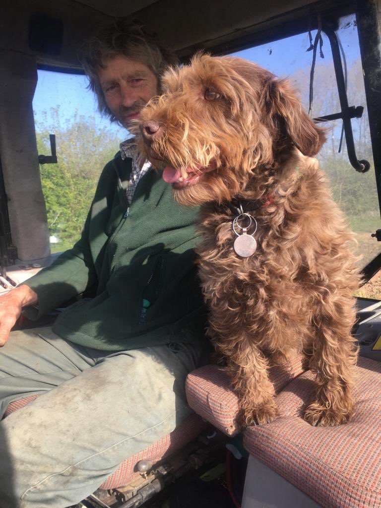 Kathrynstyan's tweet photo. Happy Birthday to this little legend! Makes me smile everyday, keeps me sane through the stress and always knows when I need a snuggle! #winston #happybirthday #womansbestfriend #couldntlivewithout #unconditionallove #soppytweet https://t.co/nT6RbKQtTq