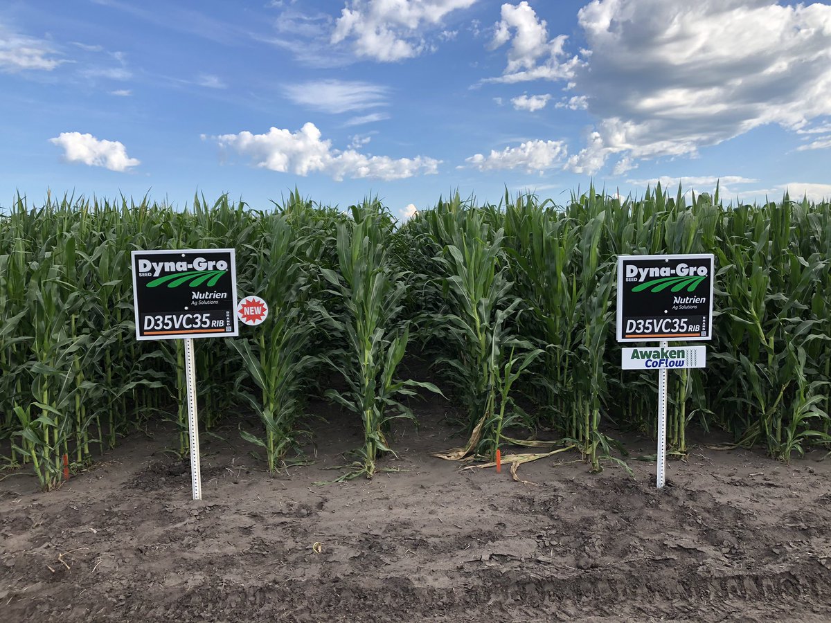 NutrienAgND's tweet image. Here’s a peak at the on farm evaluation near Colfax, ND.