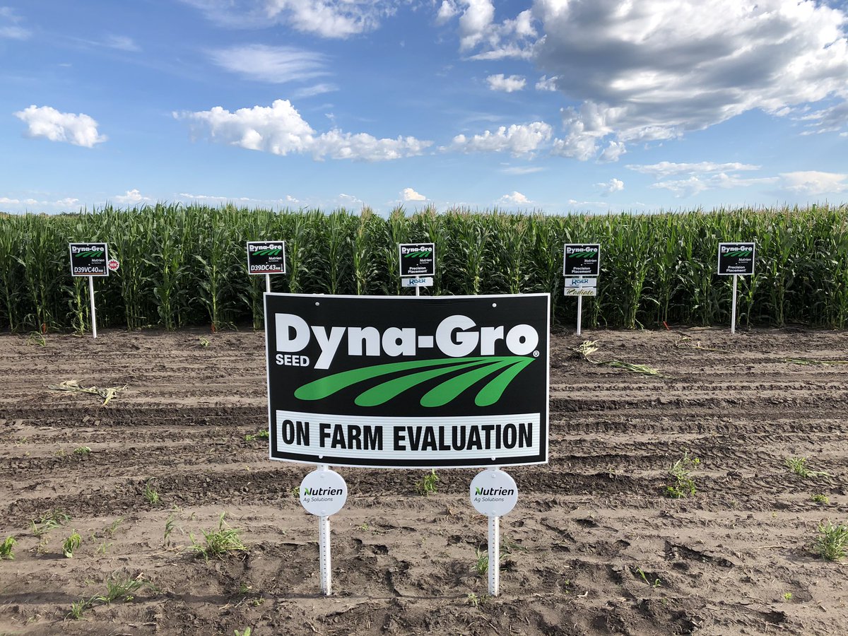 NutrienAgND's tweet image. Here’s a peak at the on farm evaluation near Colfax, ND.