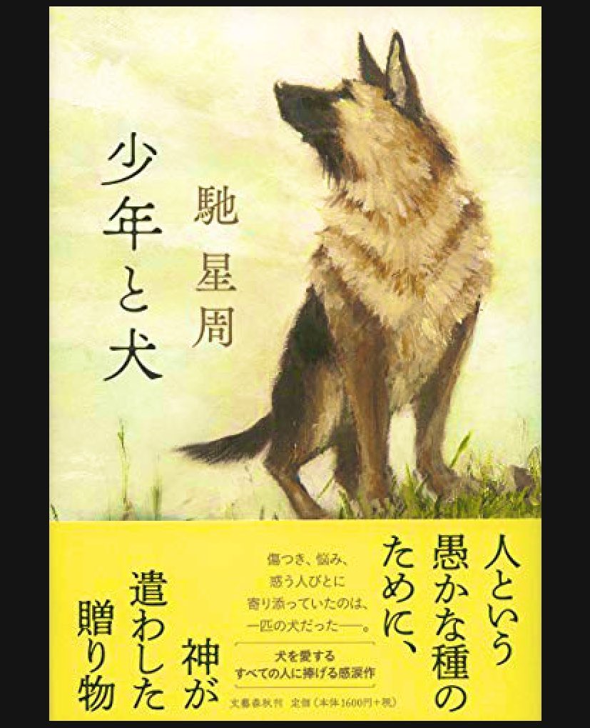 Mondsichellied's tweet photo. ｢少年と犬｣馳星周

東日本大震災の地から南へと旅する犬、多聞
南へ向かう理由、それは…

途中出会う人々の苦しみや孤独や死
泥濘に嵌った彼等の背中をそっと押す
その一押しは力強くも温かく
彼等の心の救済になったと願いたい

涙で視界が霞む
字が読めないよ

がんばったね、多聞

#読了 https://t.co/V3aQdFG1zC