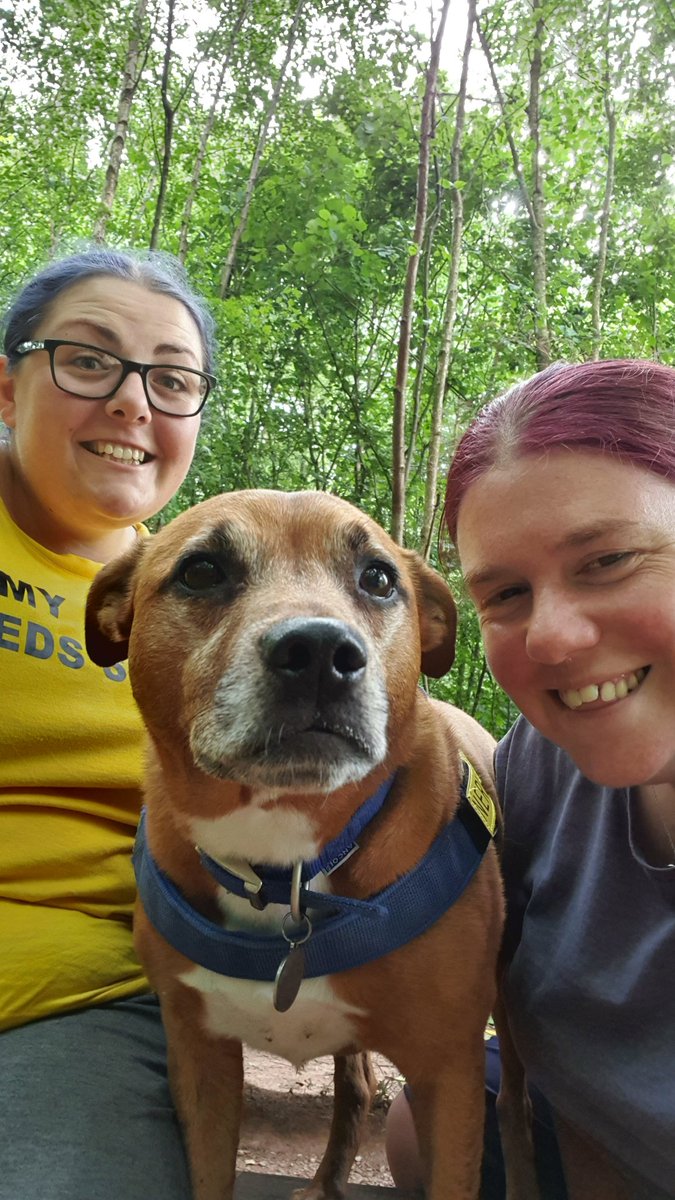 Evening pals, me and Mums went on a 3 hour walk this afternoon in the woods. It was so quiet i got to be off lead almost the whole time! It was one of our favourite walks ever!