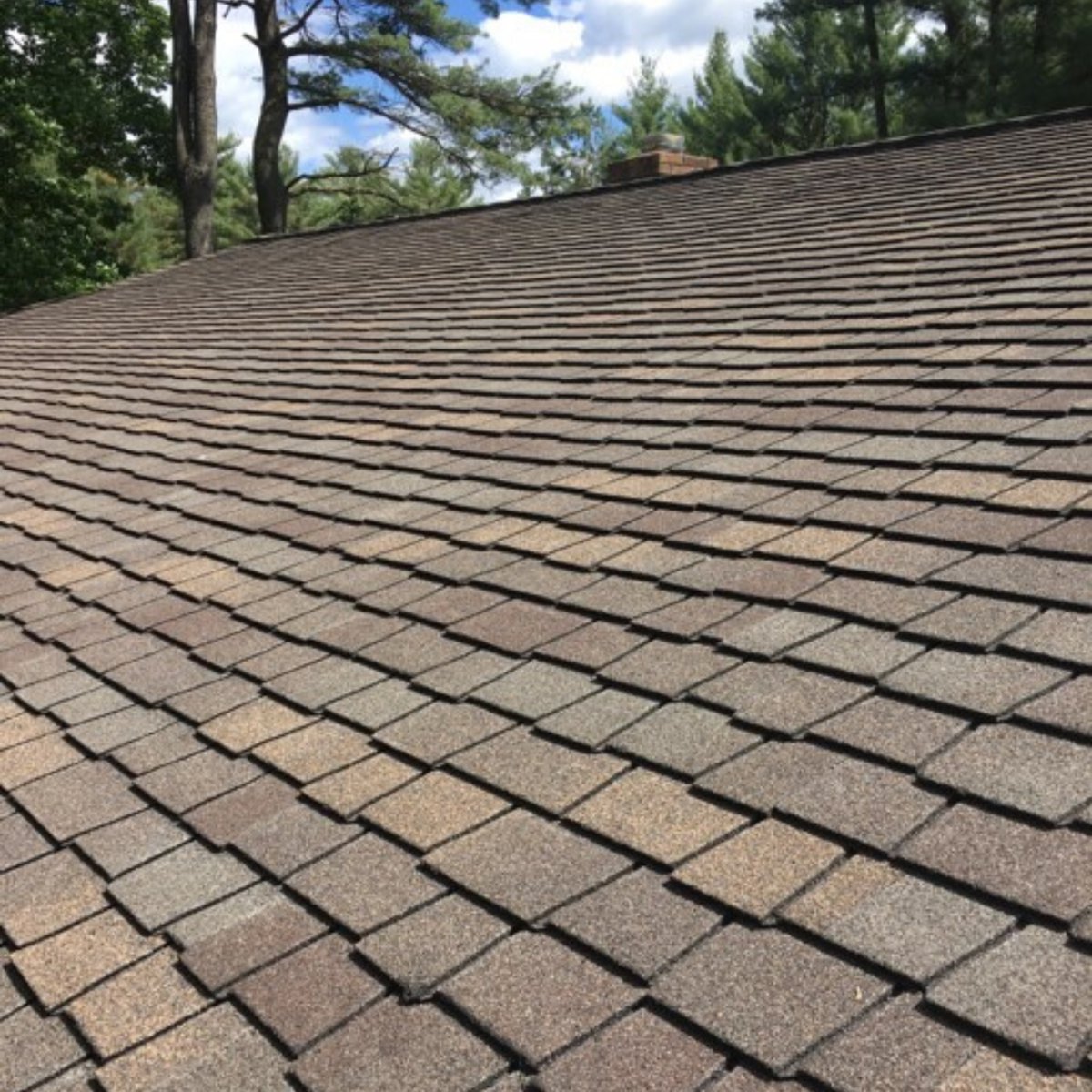Those #SHINGLES though 😍

#NewRoof #AsphaltShingles #Roofing #Wisconsin #Beautiful #HomeImprovement