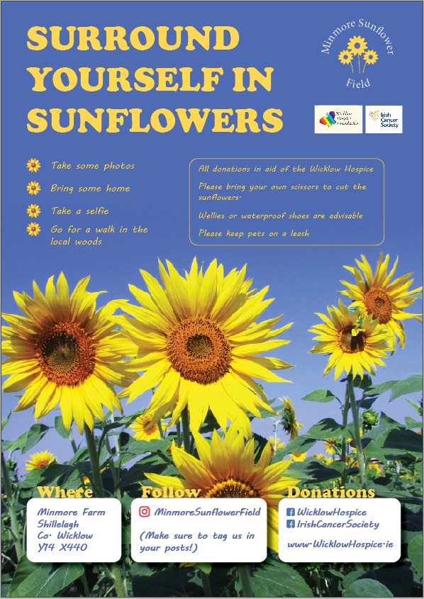 If you want to see a field of sunflowers in Ireland, come along and support these 2 worthwhile charities. They'll be blooming from now on and peaking in about 10 days.