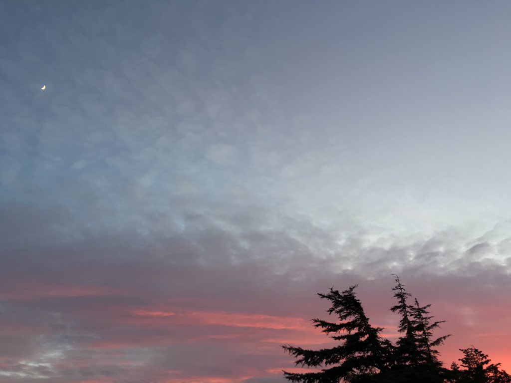 astraljeons's tweet photo. #SkyForNamjoon here r my contributions 💯💯🔥🔥 https://t.co/Z8g00v8v2E