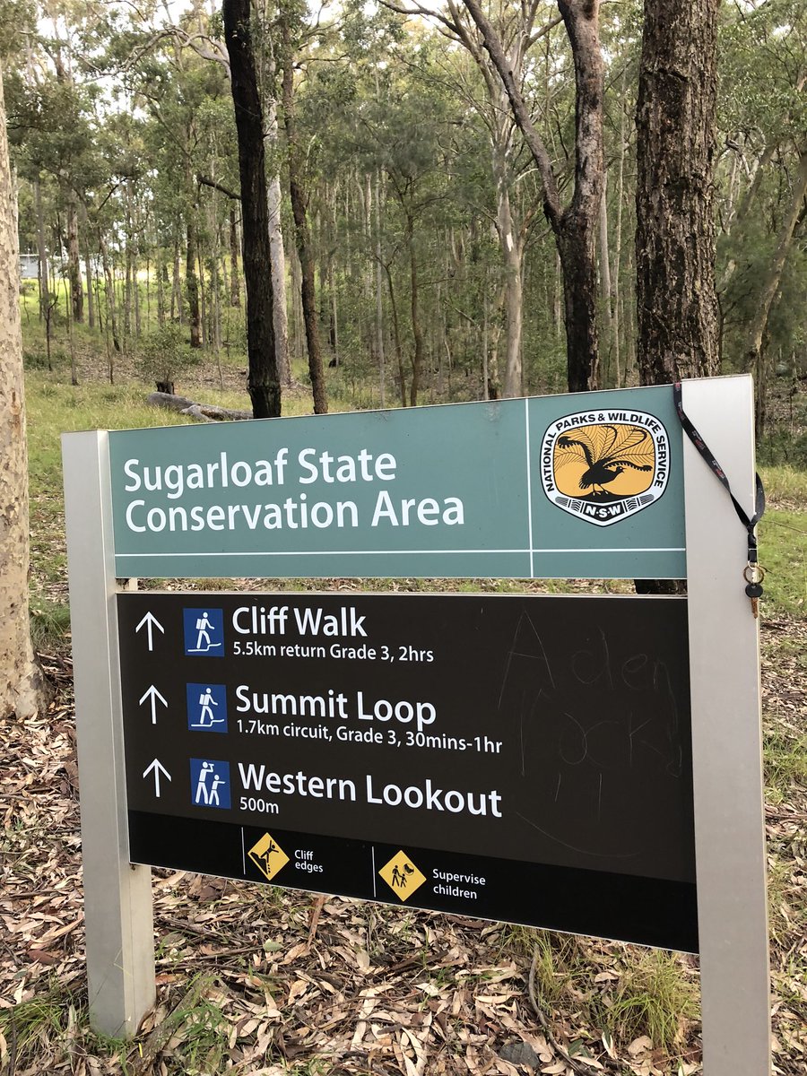 Newy Traveller tweet media