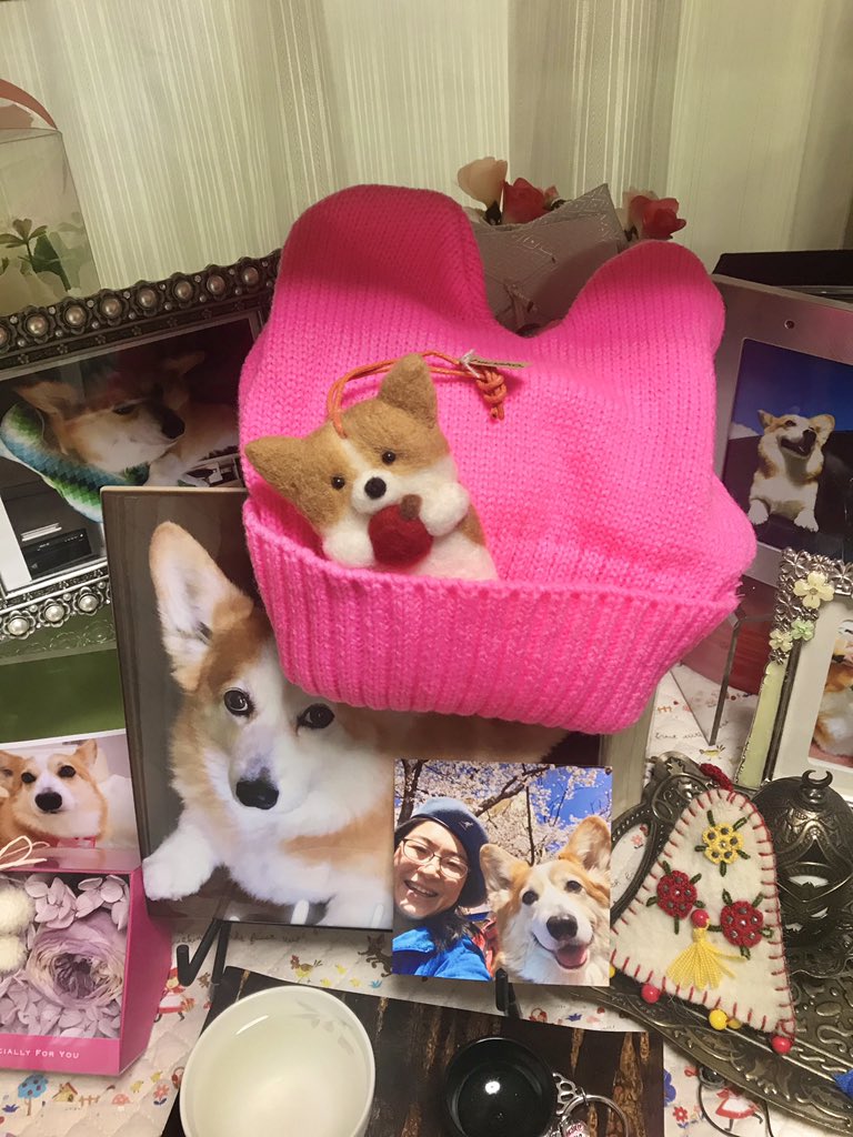 kodadachan41's tweet photo. 遅くなりましたが、無事プレゼント届きました。ありがとうございます。
今日で愛犬トリさん亡くなって早5ヶ月、資格試験も間近の中、毎週アメリカの生情報楽しく且つ勉強になります。町山さん、スタッフの皆様頑張って下さい。#町山智浩のアメリカの今を知るTV #町山智浩 https://t.co/tHOgf7xX7l