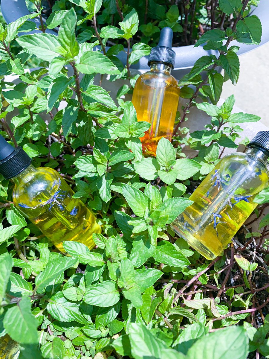 clithegemini's tweet photo. I am so excited to announce I have officially launched my website &amp; brand Blossom Naturals by Blossom Oils, LLC. We’re a black owned Vegan skin &amp; haircare company that target different problems using premium oils from plants from our gardens. Shop Now https://t.co/GRie3KlPtg https://t.co/NssUBpudx3