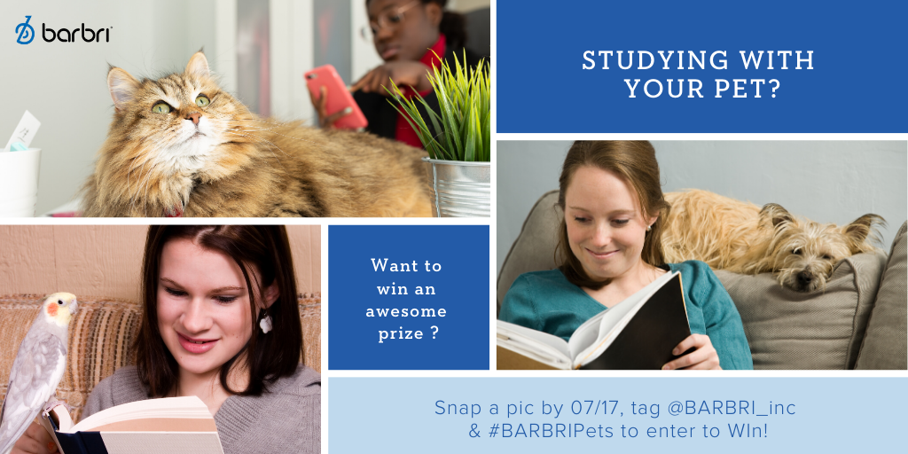 barbri's tweet photo. The 2020 #BARBRIPets contest is here! Just post a photo with your #studybuddy to your Twitter, tag the image with @BARBRI, and use the #BARBRIPets hashtag in your post. Upload your photo by July 17, 2020 for a chance to win! See the official rules here: https://t.co/AiiI17VmzA https://t.co/AjSOZjN7v0