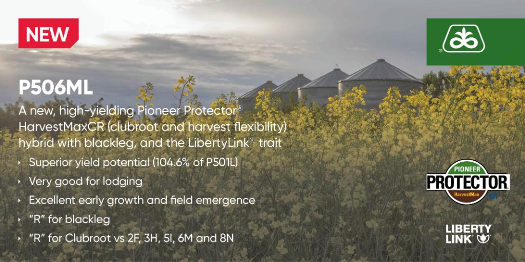 PioneerSeedsCA tweet picture