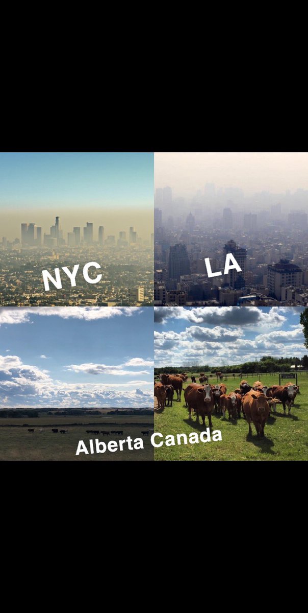 Hey <a href="/BurgerKing/">Burger King</a>  how about we chat about cities and the 7.5B people emitting CO2 (0.036%) of the atmospheric composition instead of the 1.5B cows and their (0.00017%) of methane in the atmospheres composition. Agriculture isn’t the problem. You are. #BoycottBurgerKing