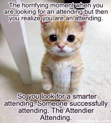 embasic's tweet photo. @JessWernerMD Every attending ever...

At 7 years out of residency I still feel this way https://t.co/YBsEjlyr1V