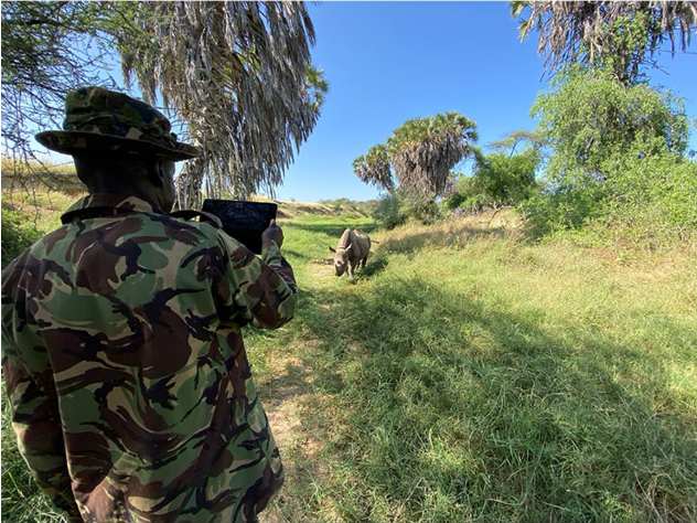 CiscoPartners's tweet photo. #ConnectedConversation has been an amazing collaborative experience with our #Partner @GlobalNTT, working together to protect endangered species with smart technology - and now we've expanded into Kenya! Get the full story: https://t.co/0SkEhxsNuR https://t.co/Z502aF1574