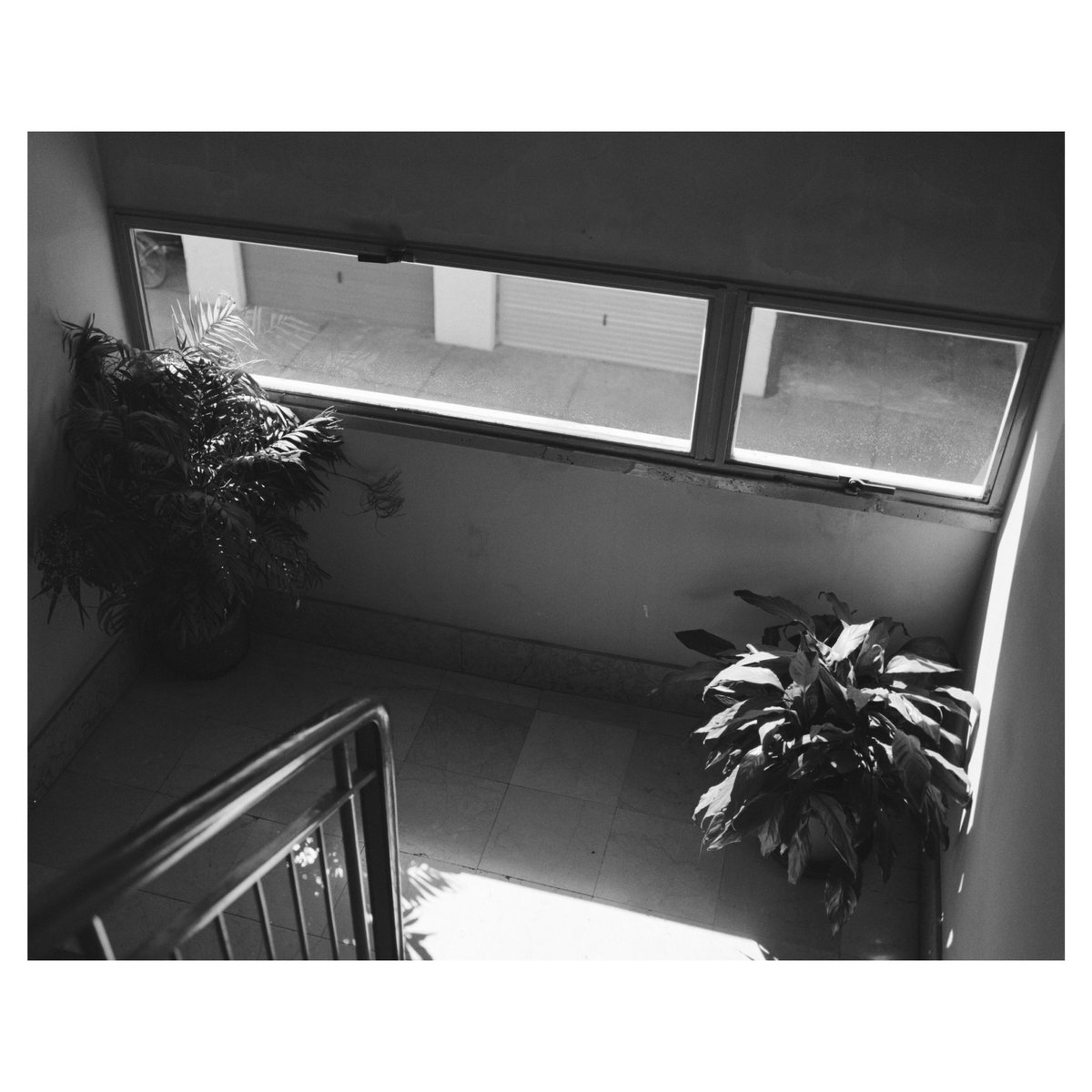 oslenave's tweet image. some b&amp;amp;w from lake como, italy in 2019