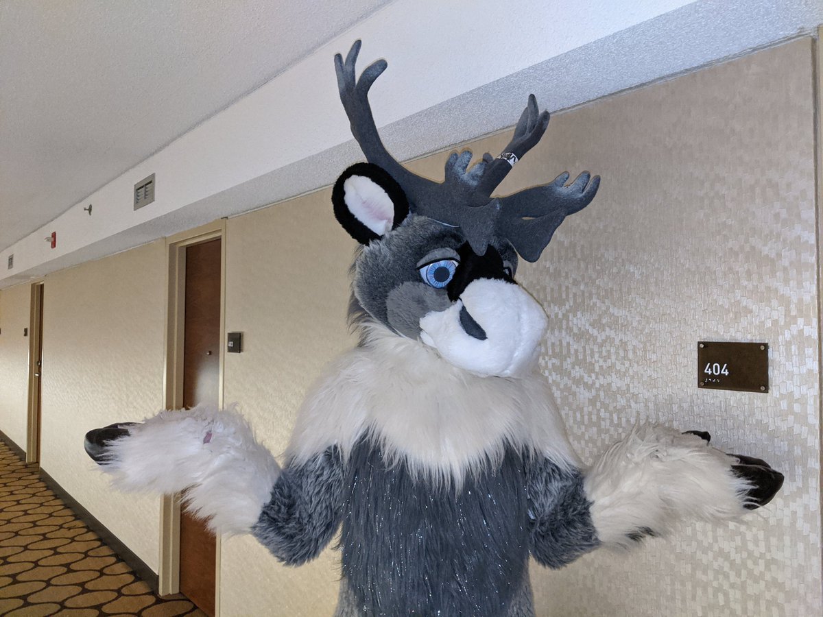 NunavutTuktu's tweet image. 404 Con Not Found 😥

#MFF #MFF2020 #MWFF
