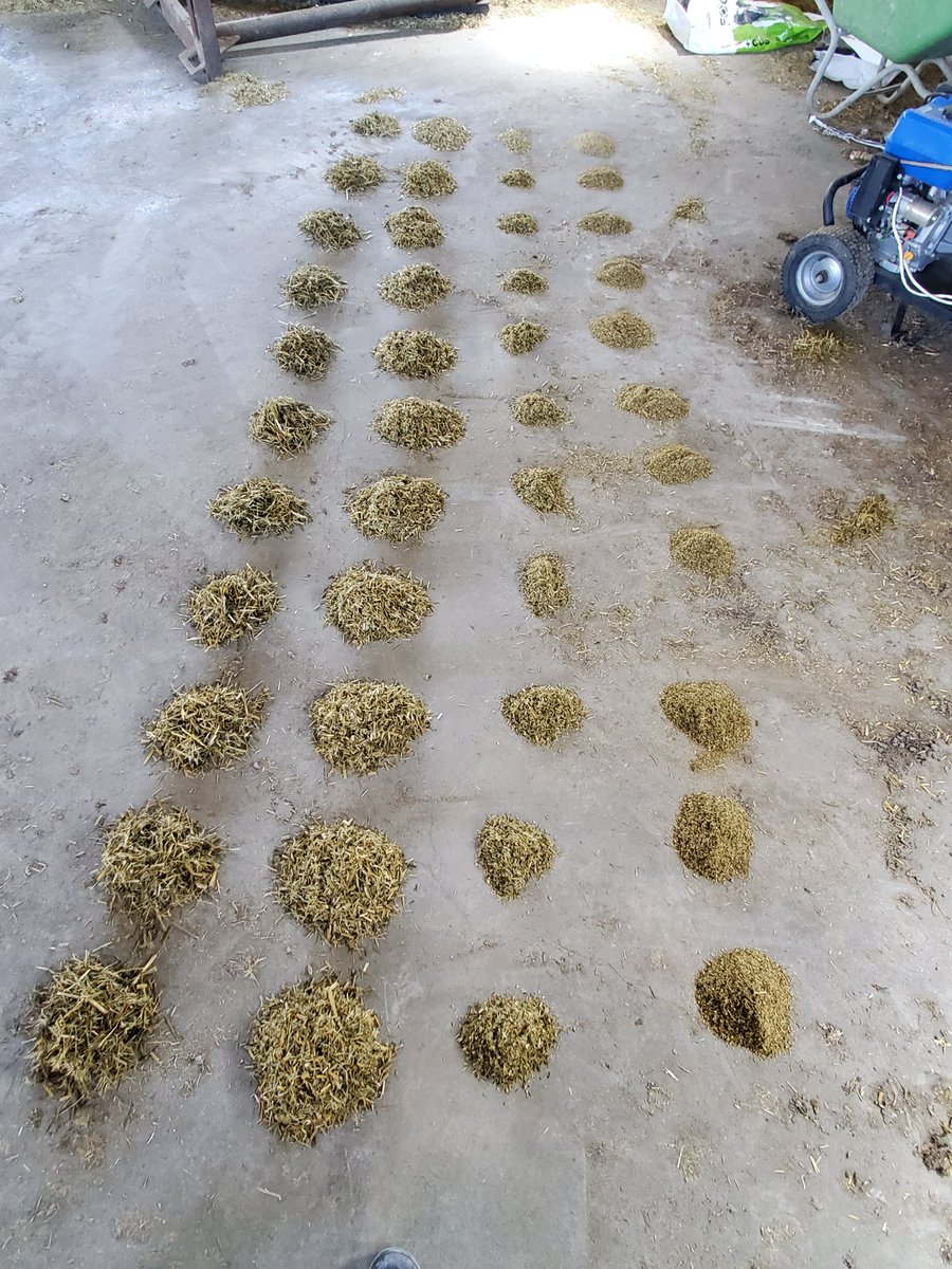 MikaylaMorden's tweet photo. These are my new favourite thing! (Just don't ask my knees what they think, you'd think I'd remember something to sit on by now) #TMRaudit #cowchow #miksmix #trioliet https://t.co/2iaj5MPeK9