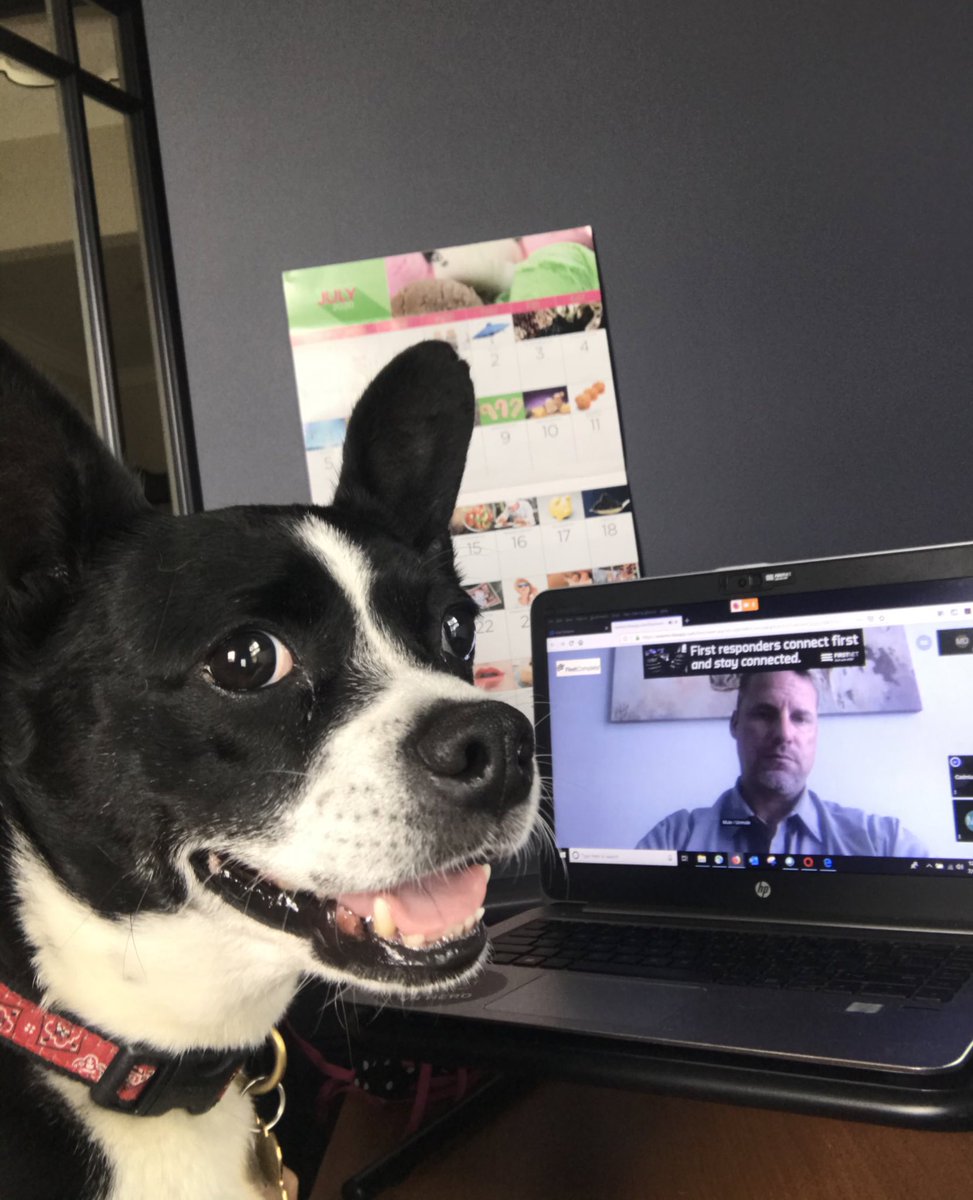NEFireChiefs's tweet photo. RT IAFC: RT MiekoD: Pico is helping in the #FleetComplete booth at #VirtualHazmat by IAFC. While not your typical fire rescue dog, this little hero once alerted us to a live wire which started some branches on fire. #FirstNet https://t.co/MikKOUewFO