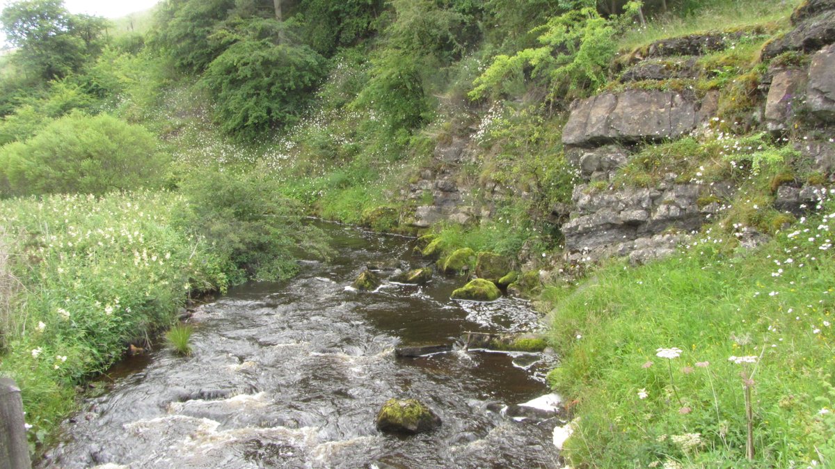 From here it was all downhill into Haltwhistle and a train home, but I had a final delightful discovery: the atmospheric Haltwhistle Burn that winds down from the Wall all the way to the town and contains hints of an industrial past.