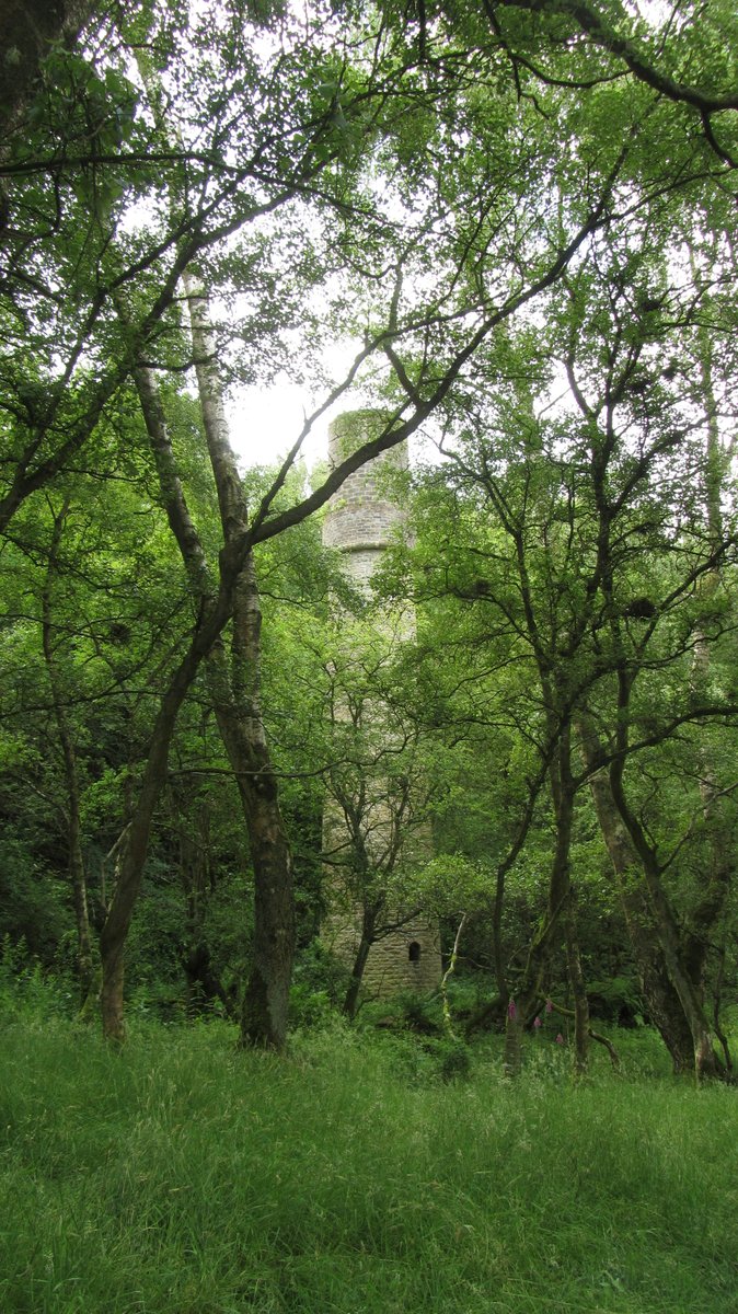 From here it was all downhill into Haltwhistle and a train home, but I had a final delightful discovery: the atmospheric Haltwhistle Burn that winds down from the Wall all the way to the town and contains hints of an industrial past.