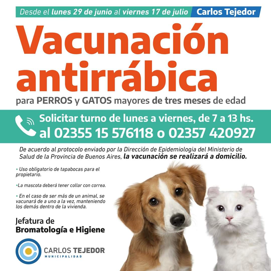 UltimaNoticiaBA's tweet photo. #CarlosTejedor
Vacunación antirrábica para perros y gatos! 🐶🐱
Se realiza a domicilio con turno previo. ⚠️
¡Comunicate! 📞
@MunicipioCarlos
@mceliagianini
#TresAlgarrobos
#Curaru
#ColoniaSere
#Timote
👇 https://t.co/KQGHzh5Phx