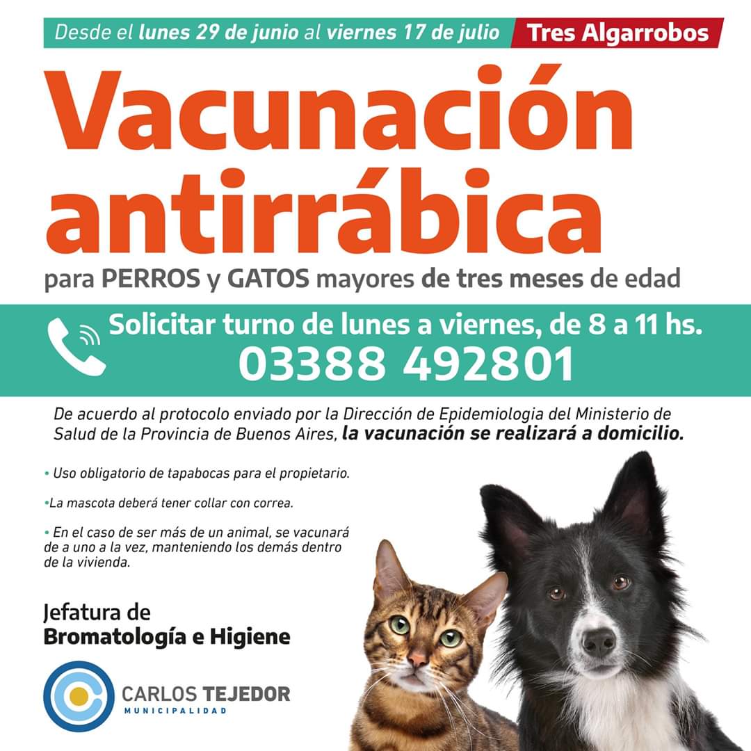 UltimaNoticiaBA's tweet photo. #CarlosTejedor
Vacunación antirrábica para perros y gatos! 🐶🐱
Se realiza a domicilio con turno previo. ⚠️
¡Comunicate! 📞
@MunicipioCarlos
@mceliagianini
#TresAlgarrobos
#Curaru
#ColoniaSere
#Timote
👇 https://t.co/KQGHzh5Phx