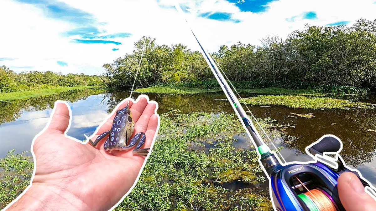 RT if you love frog fishin! This fish exploded with a  flip on the frog! 
You can see the video here: youtu.be/uLHYthIiCPg