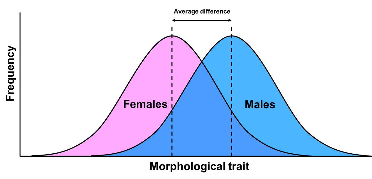 That is not how sex differences work. The two big peaks are not male and female. Rather, the two big peaks represent the AVERAGE of a given trait for males and AVERAGE of a trait for females. The correct bimodal graph shows a separate curve for M., and a separate curve for F.