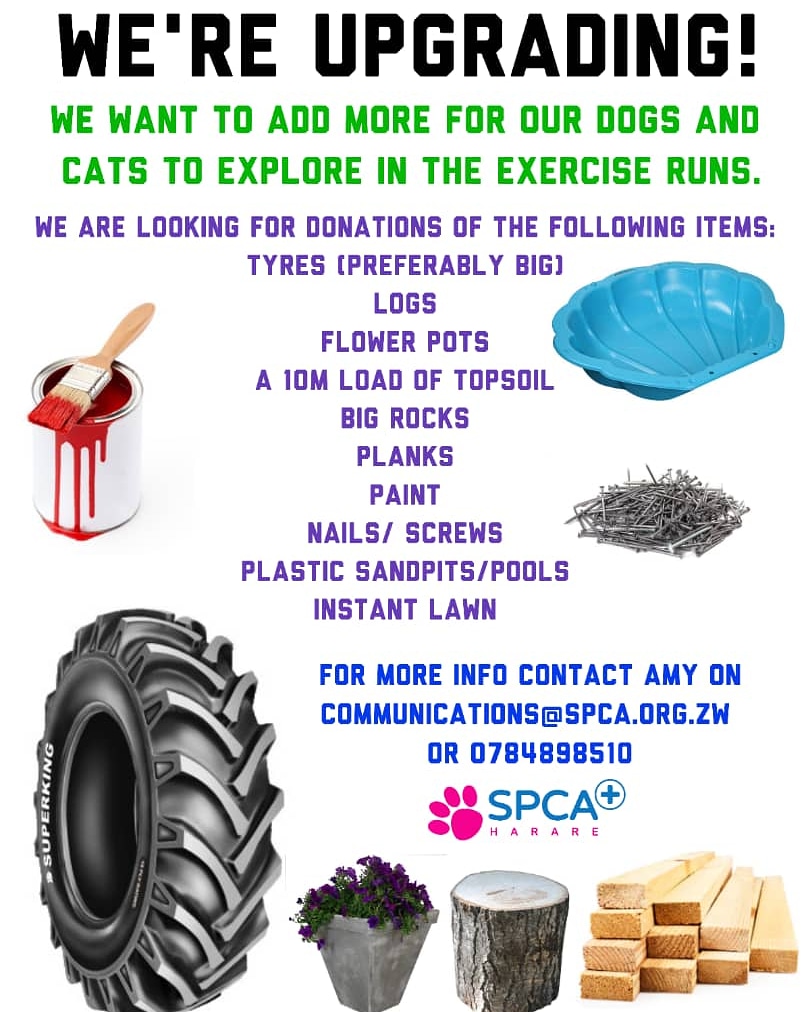 HarareSpca's tweet photo. We are doing our best to make sure every animal in our care not only gets food and shelter, but quality interaction in an interesting and exciting environment every day Please help us to give them the best possible life whilst they wait for happily ever after to come along! https://t.co/zmWwtq94GU