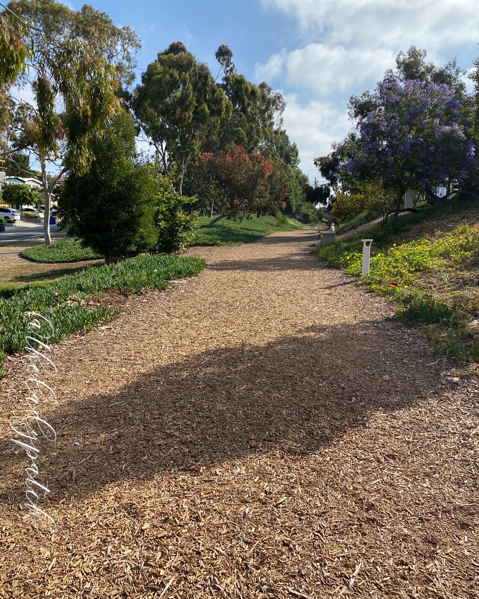 theladypatch's tweet image. Get outside today and just breathe. Good things are coming... 💕
.
.
.
.
.
.
.
#BladderLeaks #WeakBladder #MomLife #MomBladder #Incontinence #Peezing #SneezePee #Fitness #MomsOfInstagram #ManhattanBeach #CaliforniaLove