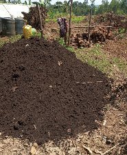 riangasuppliers's tweet photo. Hello guys, any advice on making compost manure?? I do have tea leaves residue
#compostmanure
#farming #MkulimaYoung
#kilimo https://t.co/mJf2dect2Z