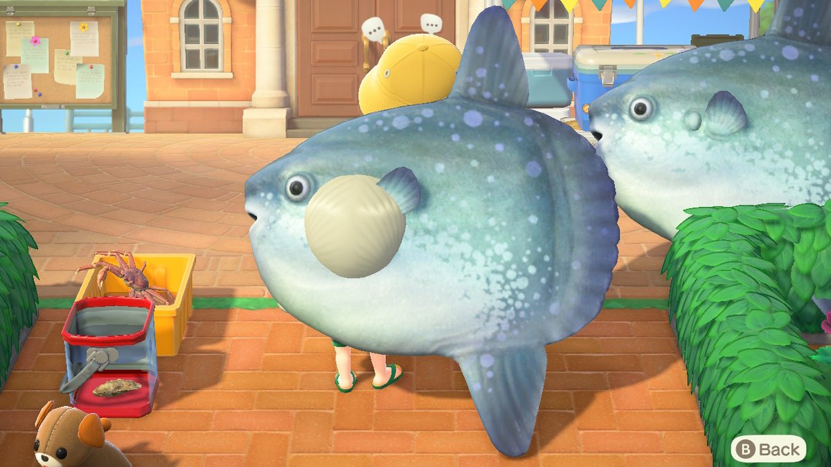 mingh_AC's tweet photo. #justfishingthings https://t.co/X76Od0YB04