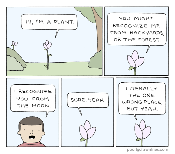 a plant 