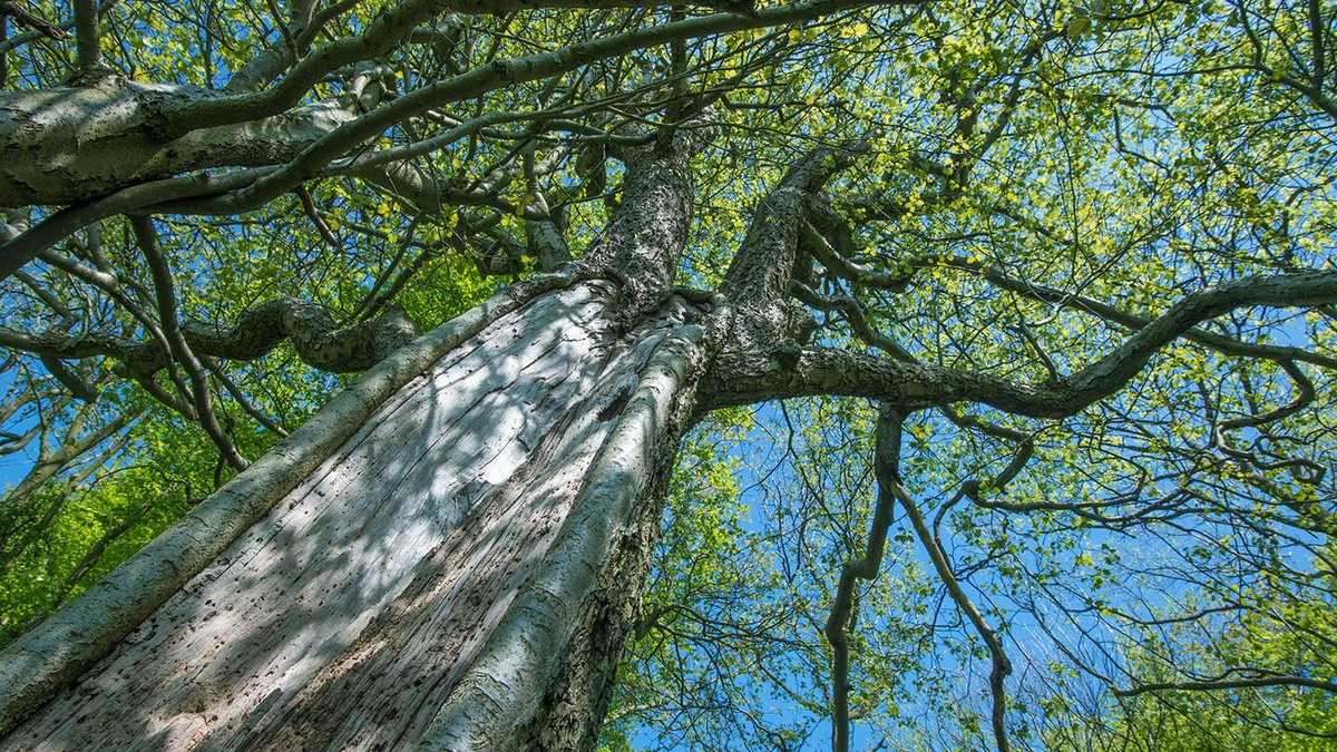 Navendu Mishra tweet media